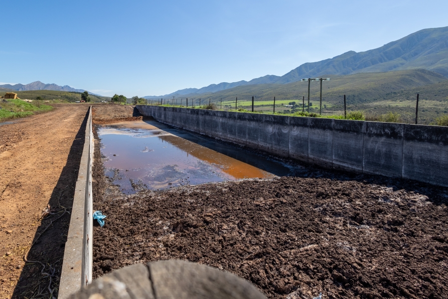 0 Bedroom Property for Sale in Kareedouw Eastern Cape